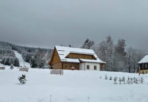 moderní roubenka cena